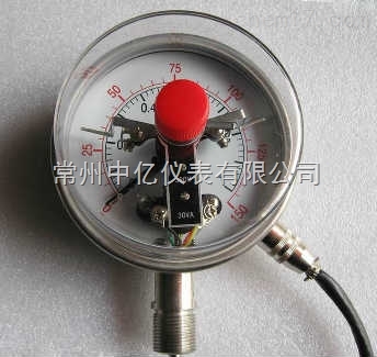 耐震電(dian)接點雙(shuāng)金屬溫(wen)度計廠(chang)家