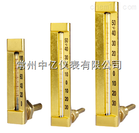 L006-B中億V型(xing)溫度計(ji)廠家